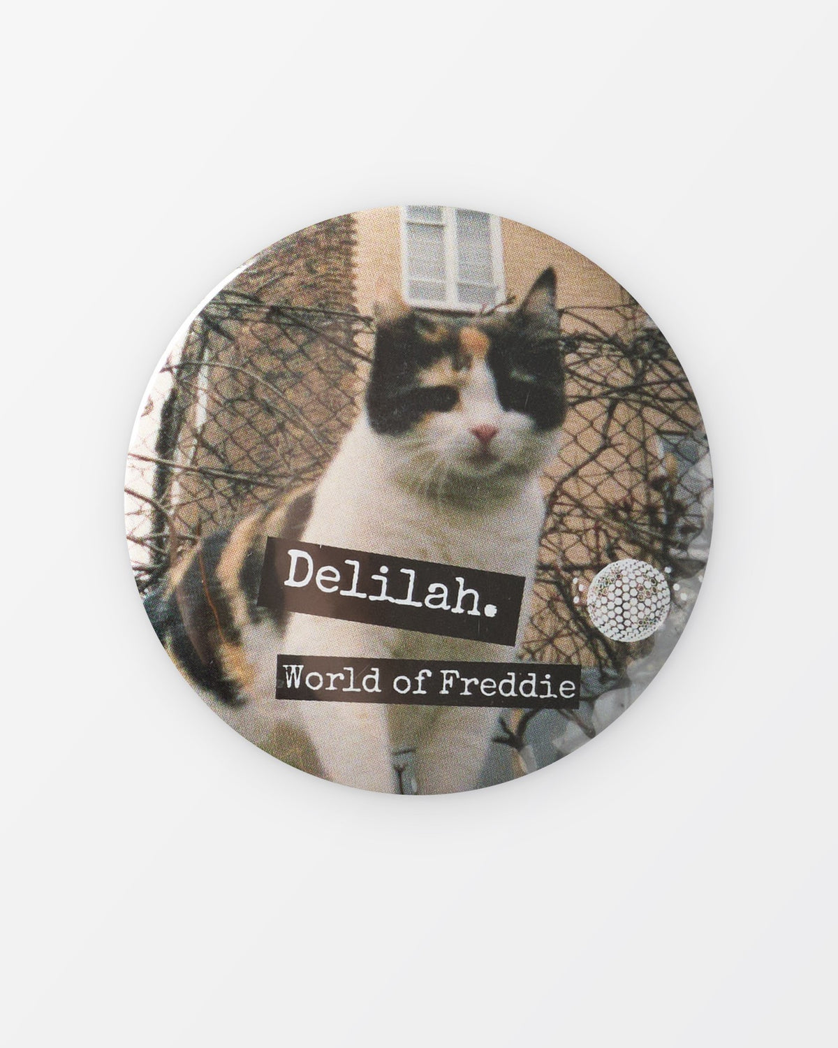 Placka „Delilah“ s Freddieho kočkou