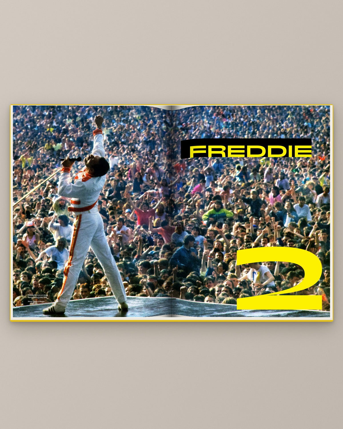 Freddie — Beyond the Curtain open at the opening spread of the Freddie chapter, a full-bleed concert photograph