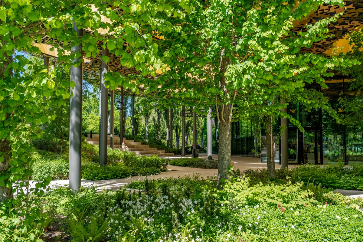 The park surrounding House of Music Hungary in summer